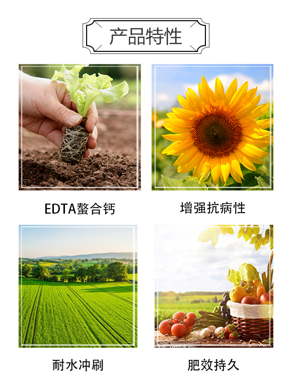 һ��-���R_03