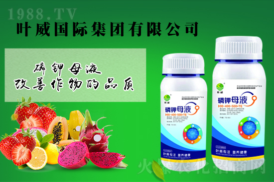 氯化鉀價格上漲，2021年9月6日鉀肥價格行情日報：
