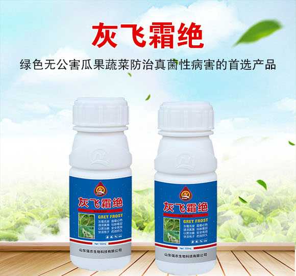 ���w˪�^-���r����_01