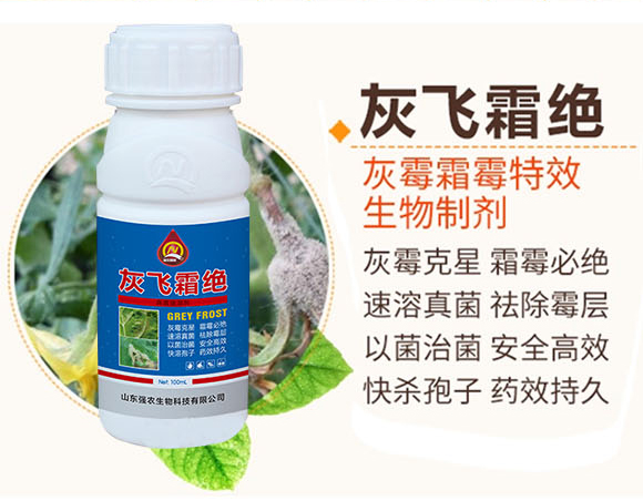 ���w˪�^-���r����_02