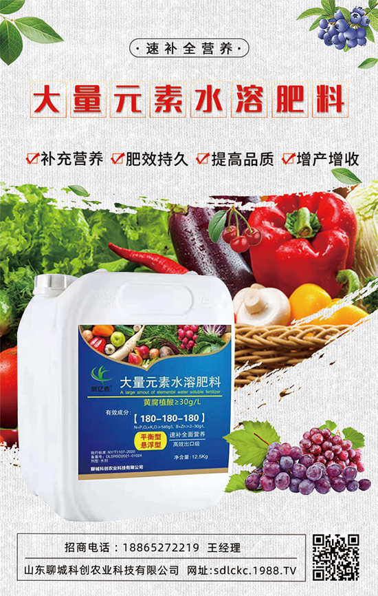 ɽ�|�ĳǿƄ�(chu��ng)�ٺ�1988.TV�����\�������p�A��