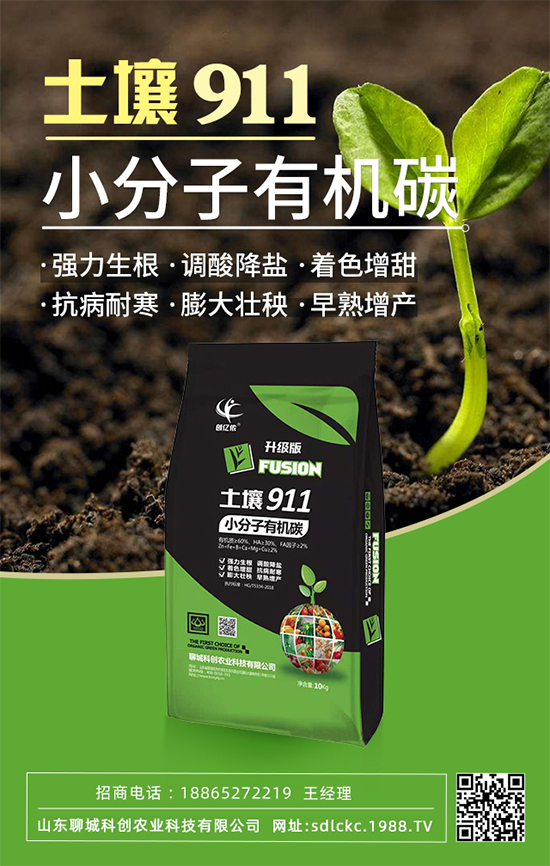 ɽ�|�ĳǿƄ�(chu��ng)�ٺ�1988.TV�����\�������p�A��