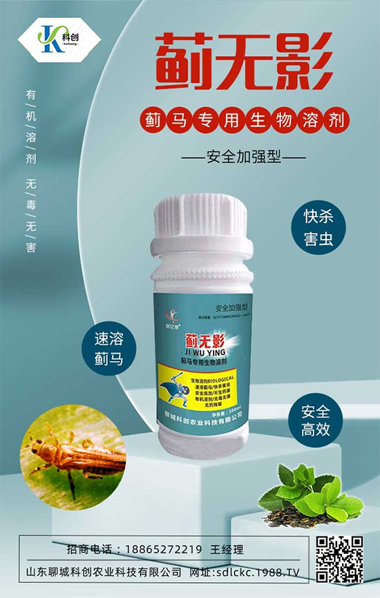 ɽ�|�ĳǿƄ�(chu��ng)�ٺ�1988.TV�����\�������p�A��