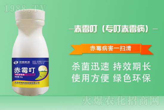 合作再升級(jí)！大連雙和科技再簽1988.TV，共創(chuàng)新輝煌！