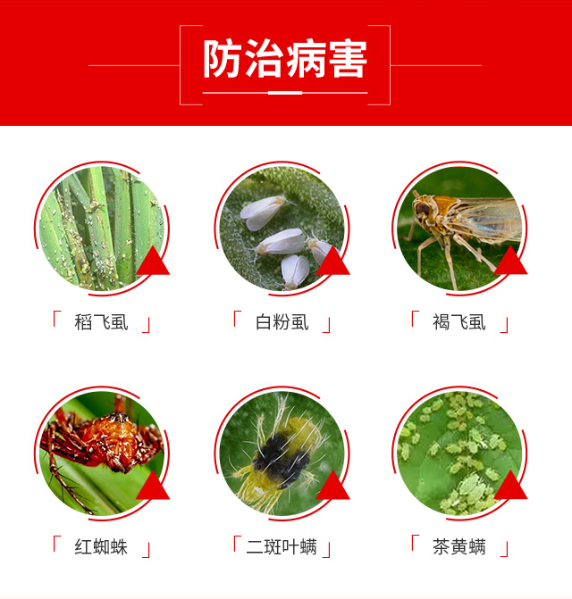 ���r��������-���r_04