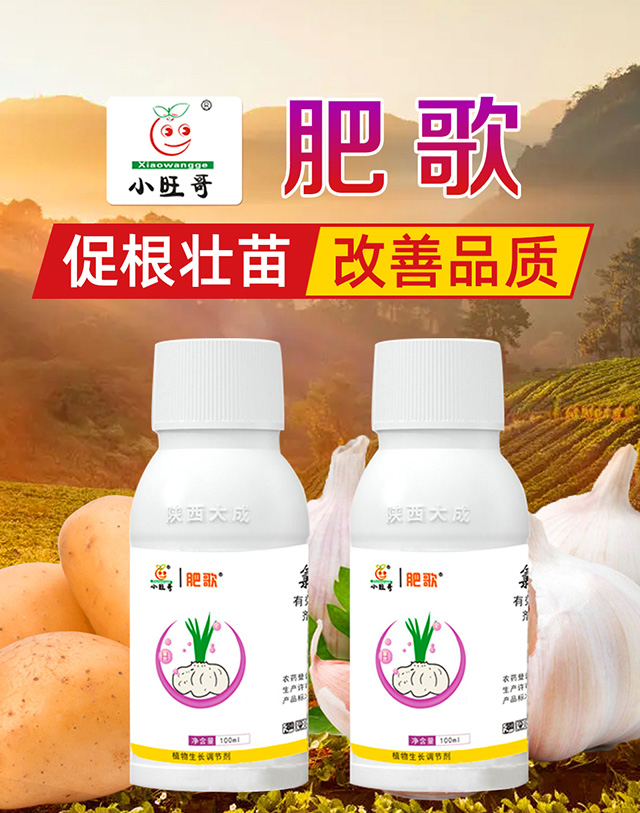 60%�Ȼ�đ�A-�ʸ�_01