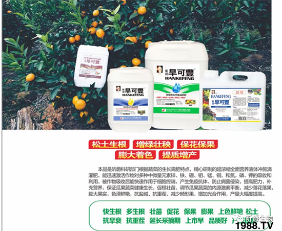 昕爵集團(tuán)84