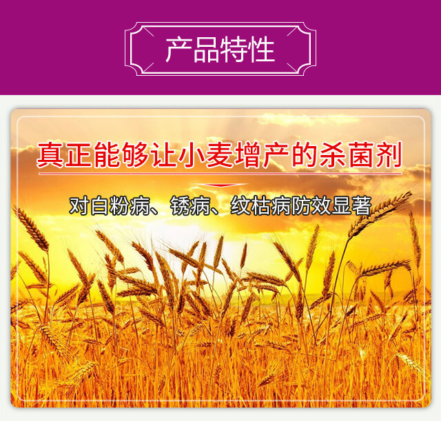 �밲-���(bi��o)_03