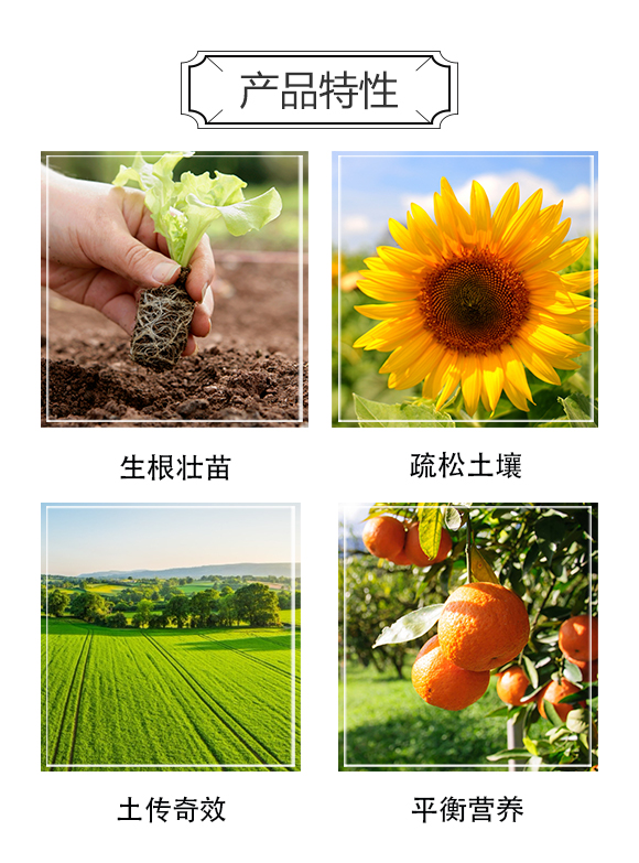 �����п��r(n��ng)�I(y��)�Ƽ��о�Ժ-��Ʒ�����_(t��i)03