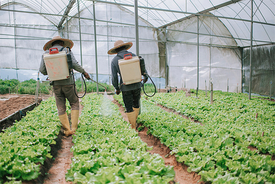 �ذ������ߌóɶ��N�I(y��)���[�����n11��18��