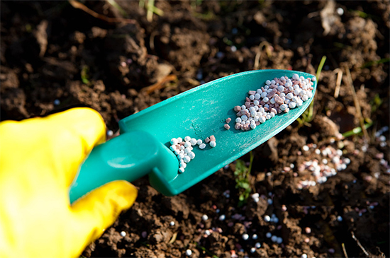 �ذ������ߌóɶ��N�I(y��)���[�����n11��18��