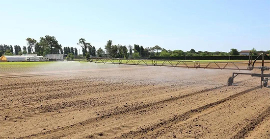 �ذ������ߌóɶ��N�I(y��)���[�����n11��18��