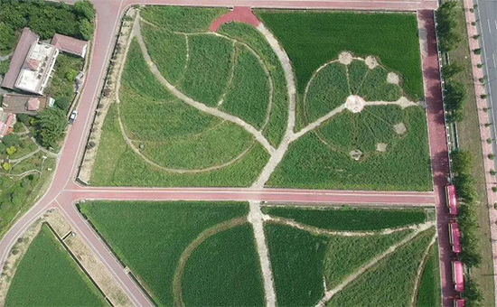 �ذ������ߌóɶ��N�I(y��)���[�����n11��18��