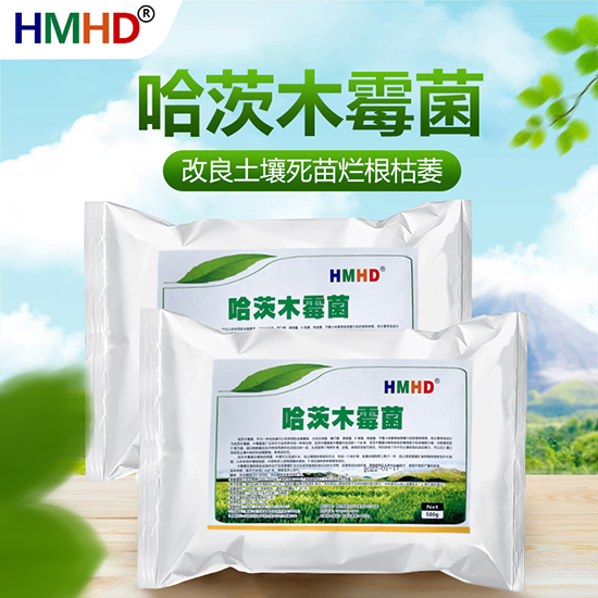 ����ľù��-�ο�ֲ��2