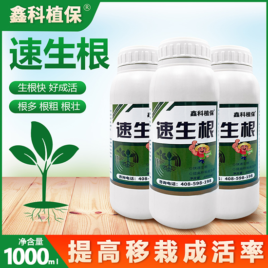 ������-�ο�ֲ��2