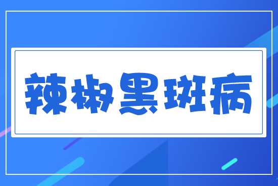 �����ڰ߲�