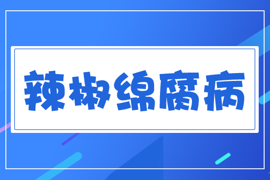 �����d�߲�