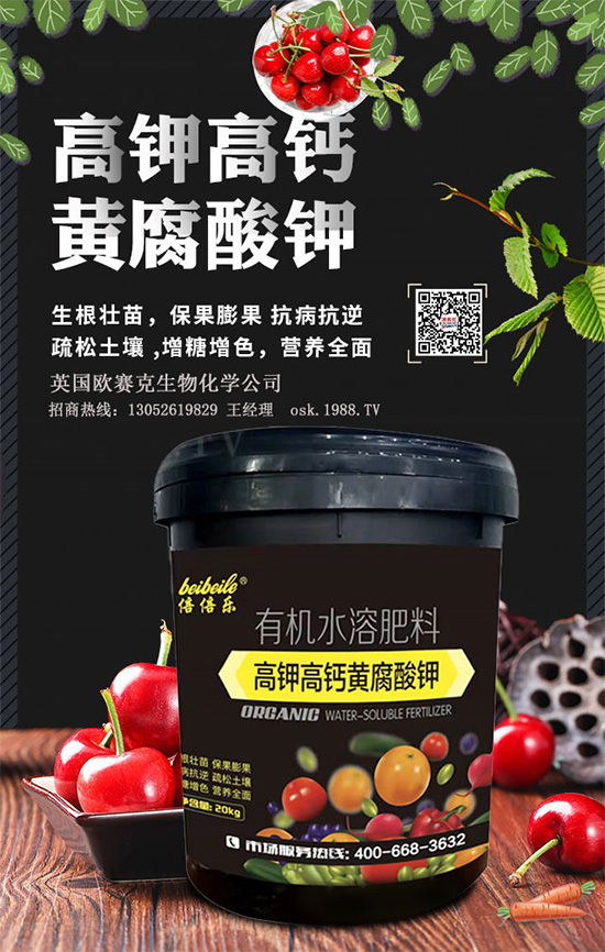 һ���S�����=�����������������ЙC(j��)�����S����⛞��������棿