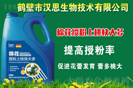 �޻��Nֲ��ô�������޻������L(zh��ng)�ڹ���Ҫ�c(di��n)