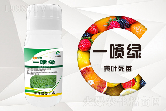 大棚蔬菜育苗為什么容易死苗？怎么解決？