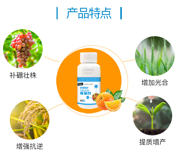 �o�����H855862_03