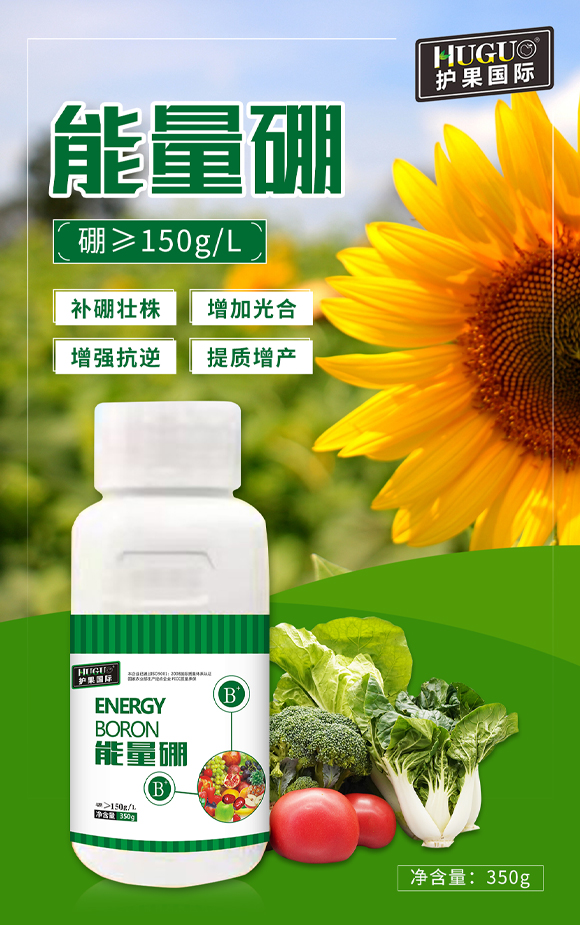 �o(h��)�����H855863_01