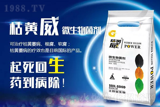 ���Sή�����ݵȲ������Ӝ皢�������͉�����