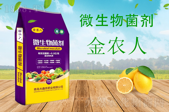 С���ƌW����������������ԓ��ô����