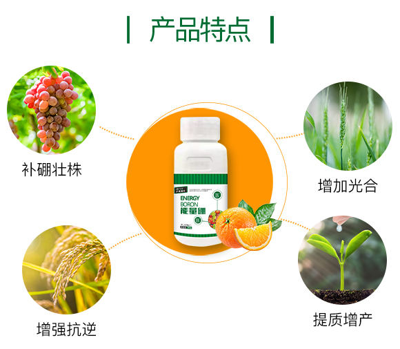 �o(h��)�����H855863_03