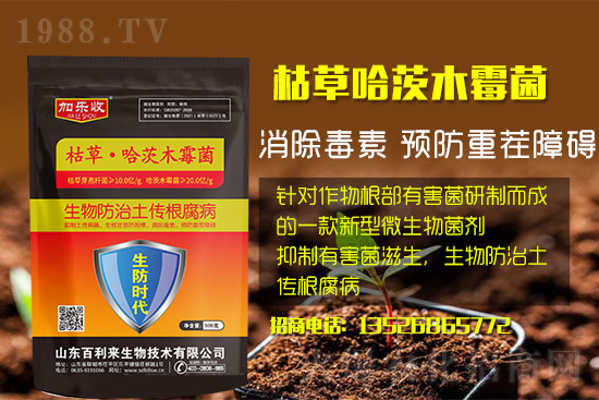 ���������l(f��)��ô��������������ʲôˎ�÷���Ч���ã�