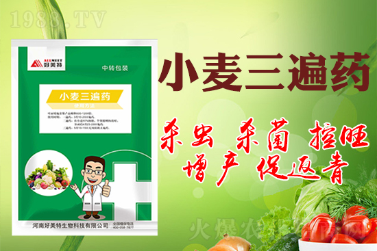 С���ɴ�����ˎ�������a(ch��n)����Ч��С������ˎʲô�r(sh��)�����