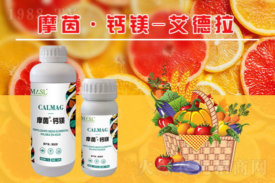 �����a�}�S���ځ��ˣ�����a���}�V����