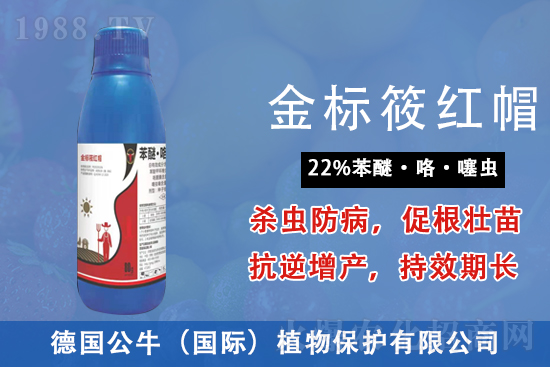 2022.4.2�}������Қ������r(ji��)��