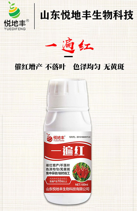 辣椒催紅措施怎么做？辣椒如何提前上市？辣椒催紅藥什么時(shí)候打好？