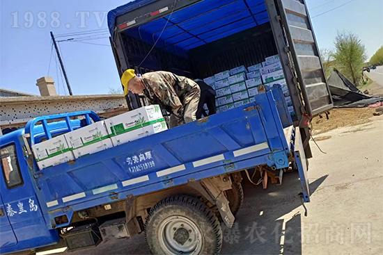 ���N(xi��o)��Ʒ����(sh��)���S��������2̖(h��o)�l(f��)؛��ͣЪ