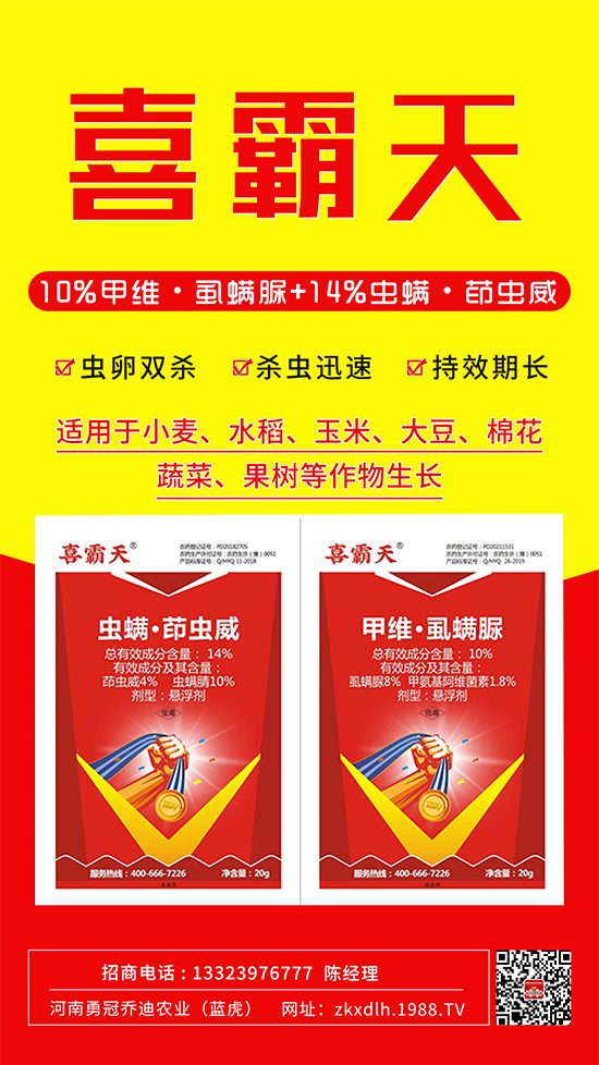 С�˶��������xΣ����̫�y���@����ˎ��һ��һ��(g��)��(zh��n)!