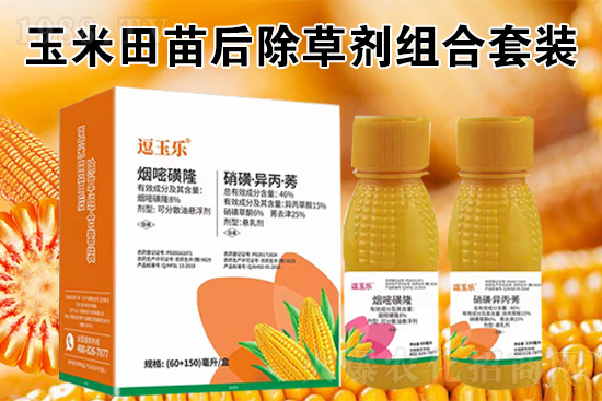 ���׳��݄���ô�������Ч��