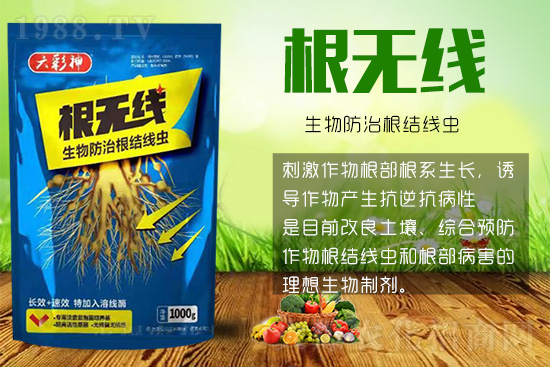 根結(jié)線蟲殺死容易殺絕難！這樣防治效果好到驚人！