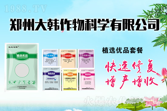 作物藥害肥害頻發(fā)怎么辦？發(fā)生藥害肥害如何補(bǔ)救？