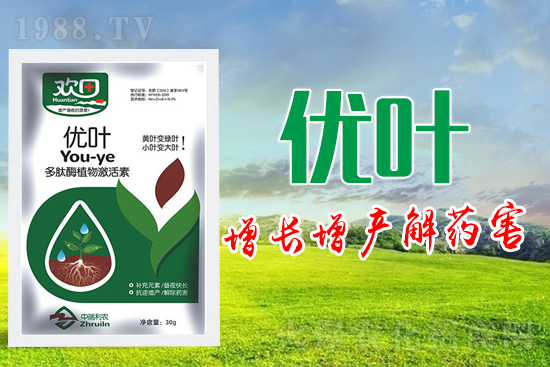 葉面肥的種類及使用注意事項(xiàng)