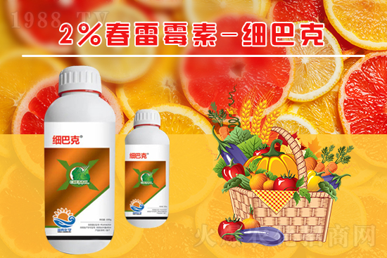 番茄潰瘍病怎么辦？聽聽專家怎么說！