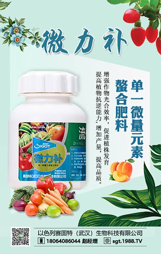 ���ι���С�~���S�~����������������