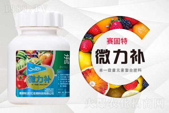 ���ι���С�~���S�~����������������