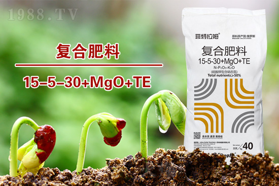 湖北:2022年春播玉米生產(chǎn)技術(shù)指導(dǎo)意見(jiàn)