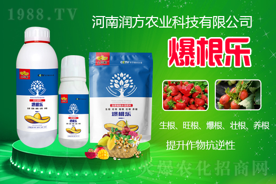     ���ϝ�(r��n)���r(n��ng)�I(y��)�Ƽ����޹�˾��΢�������-������(l��)-����ñ���Ɏ���ֲ�ｨ����(qi��ng)�я�(qi��ng)��ĸ�ϵ�����M(j��n)ֲ�(du��)�����B(y��ng)����ˮ���c���w�������������������������������Ѹ����B(y��ng)��������(qi��ng)��������