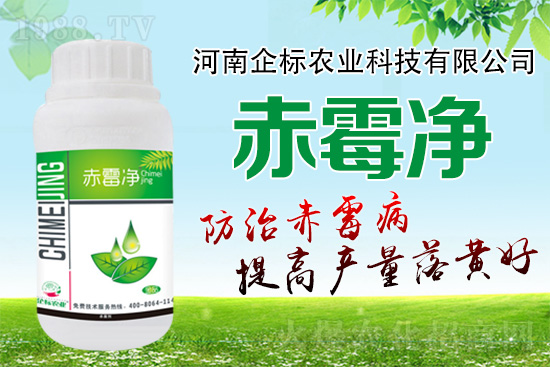 緊急提醒：未來十天是小麥赤霉病防治關(guān)鍵期！務(wù)必抓??！