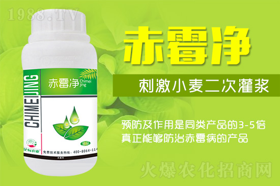 �o�����ѣ�δ��ʮ����С����ù�������P�I�ڣ��ձ�ץ����