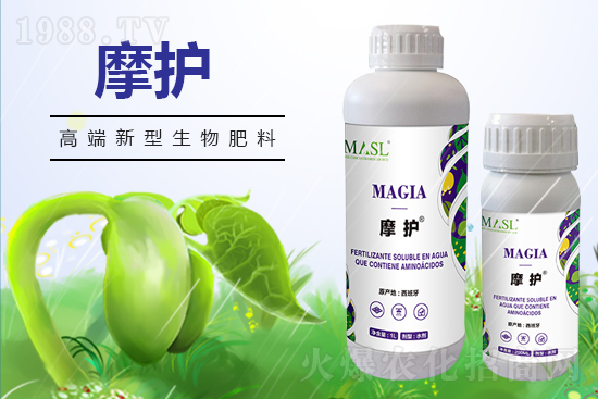 黃瓜苗期管理，需要注意哪些問題？