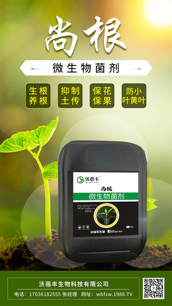 ��ô����׌���������Ѹ������@����׌�����������ף�