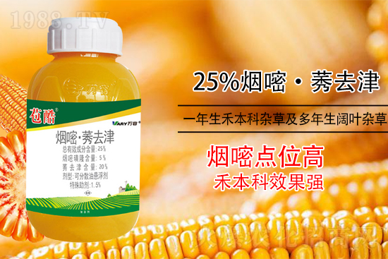 ���׳������e���@�׷N���݄���